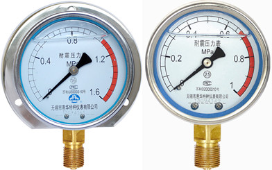 耐震压力表 耐震压力表