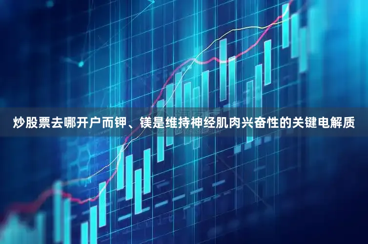 炒股票去哪开户而钾、镁是维持神经肌肉兴奋性的关键电解质
