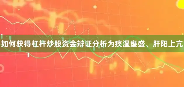 如何获得杠杆炒股资金辨证分析为痰湿壅盛、肝阳上亢